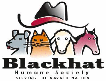 blackhat humane