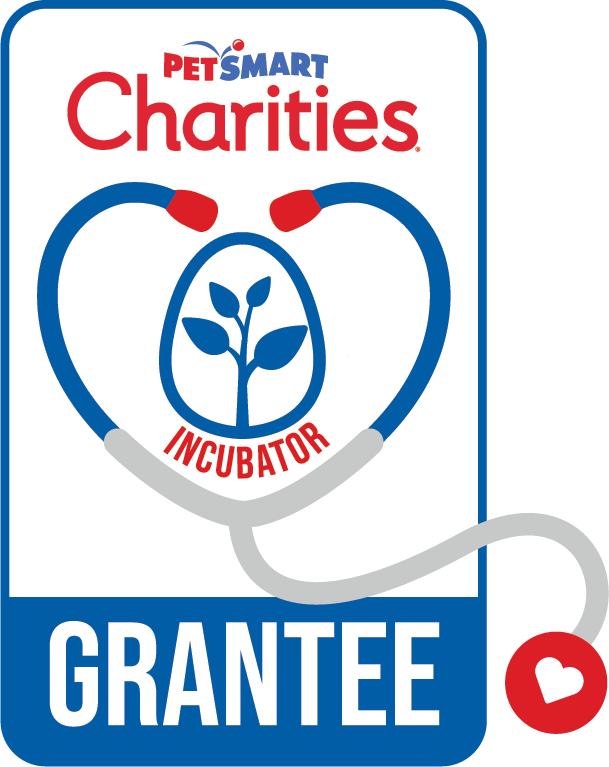 Charities Incubator Grantee Digital US COLOR