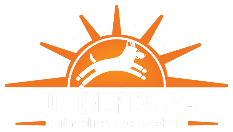 underdoglogo