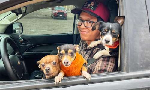 Help Pets Stay With Their Families