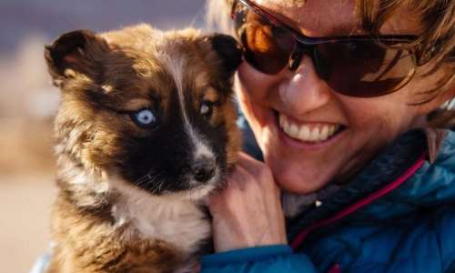 Volunteer with puppy