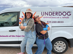 Work for Underdog